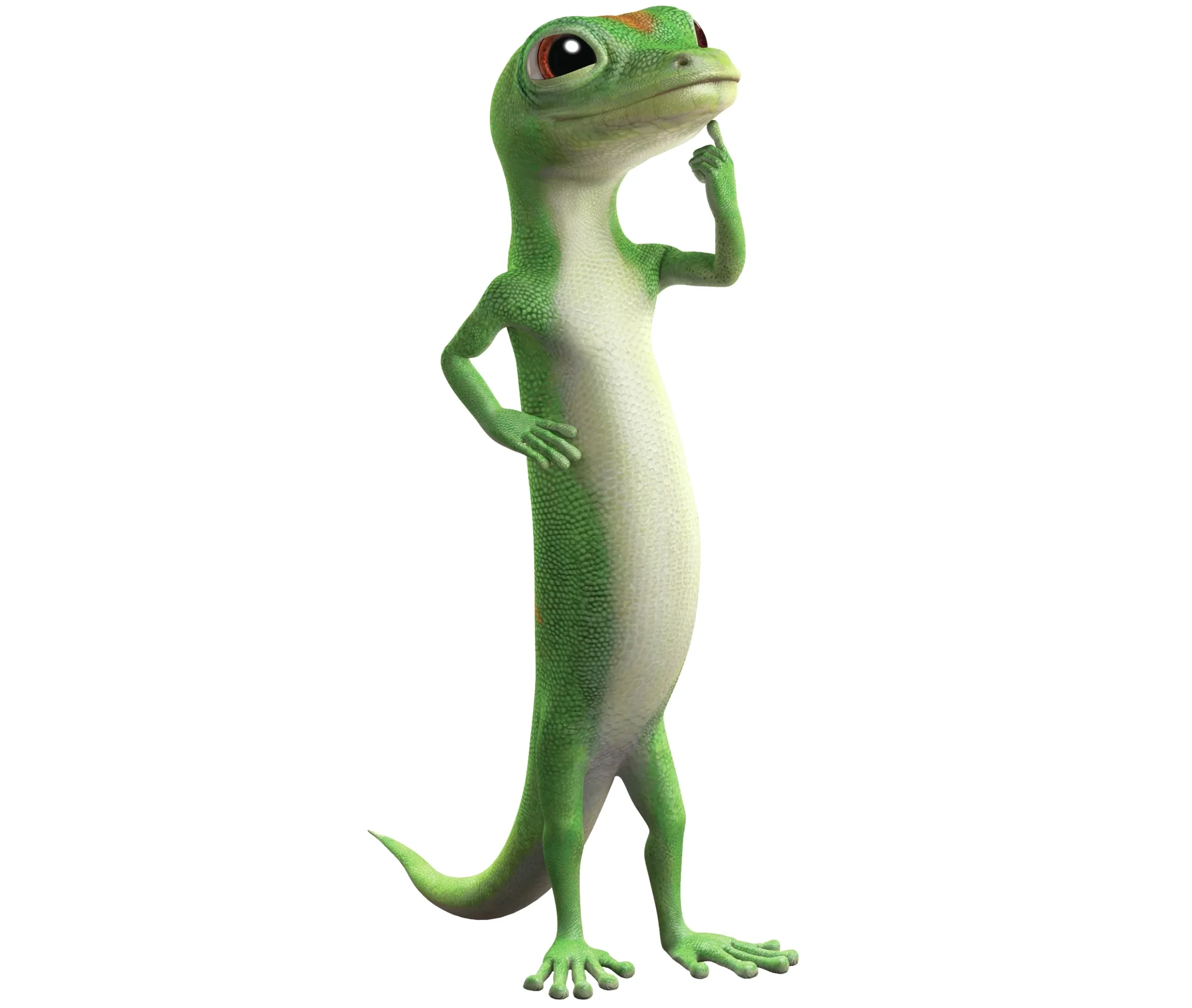 gecko